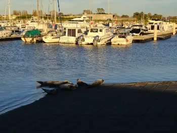 Haven van Nieuwpoort (België)